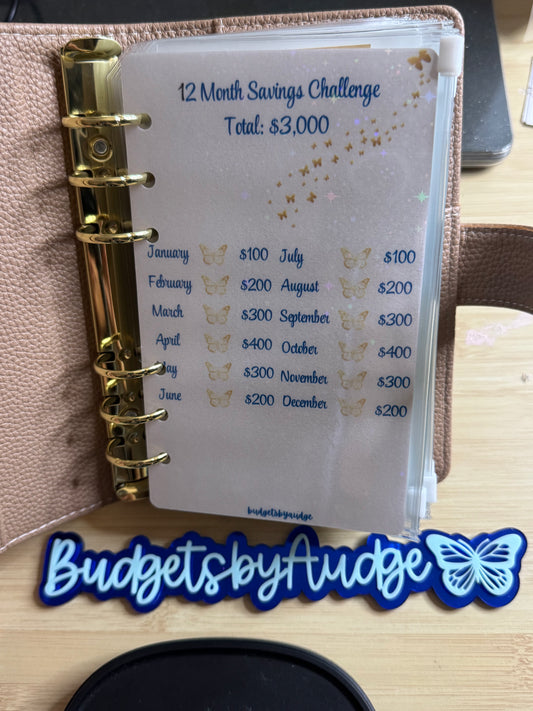 3k 12 Month savings Challenges